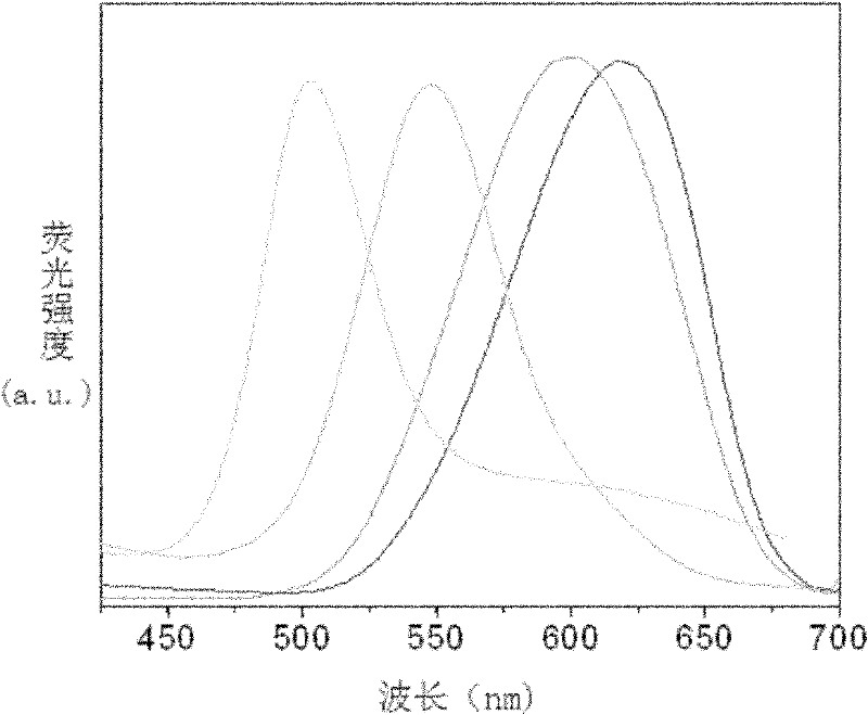 Method for preparing polymer fluorescent nano particle