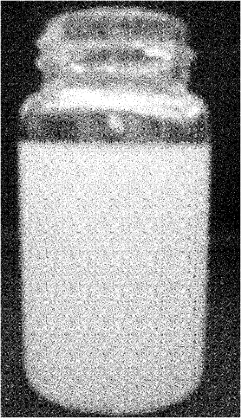 Method for preparing polymer fluorescent nano particle