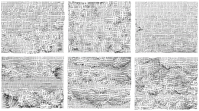 A Method for Restoration and Re-simulation of Video Fluid Physics-Driven Models