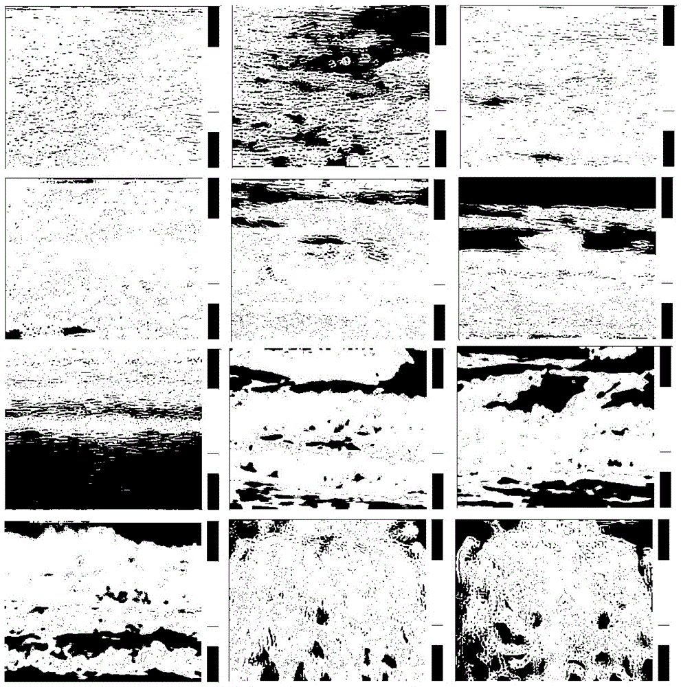 A Method for Restoration and Re-simulation of Video Fluid Physics-Driven Models