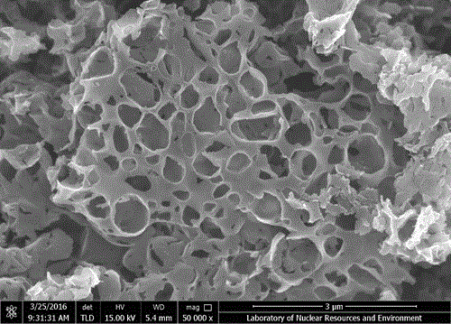 Synthetic method for nitrogen-doped porous carbon, and application of nitrogen-doped porous carbon in positive electrode of microbial fuel cell