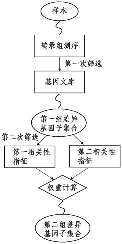 System and method for detecting clinical results of patients with hepatocellular carcinoma by HBV (Hepatitis B Virus)