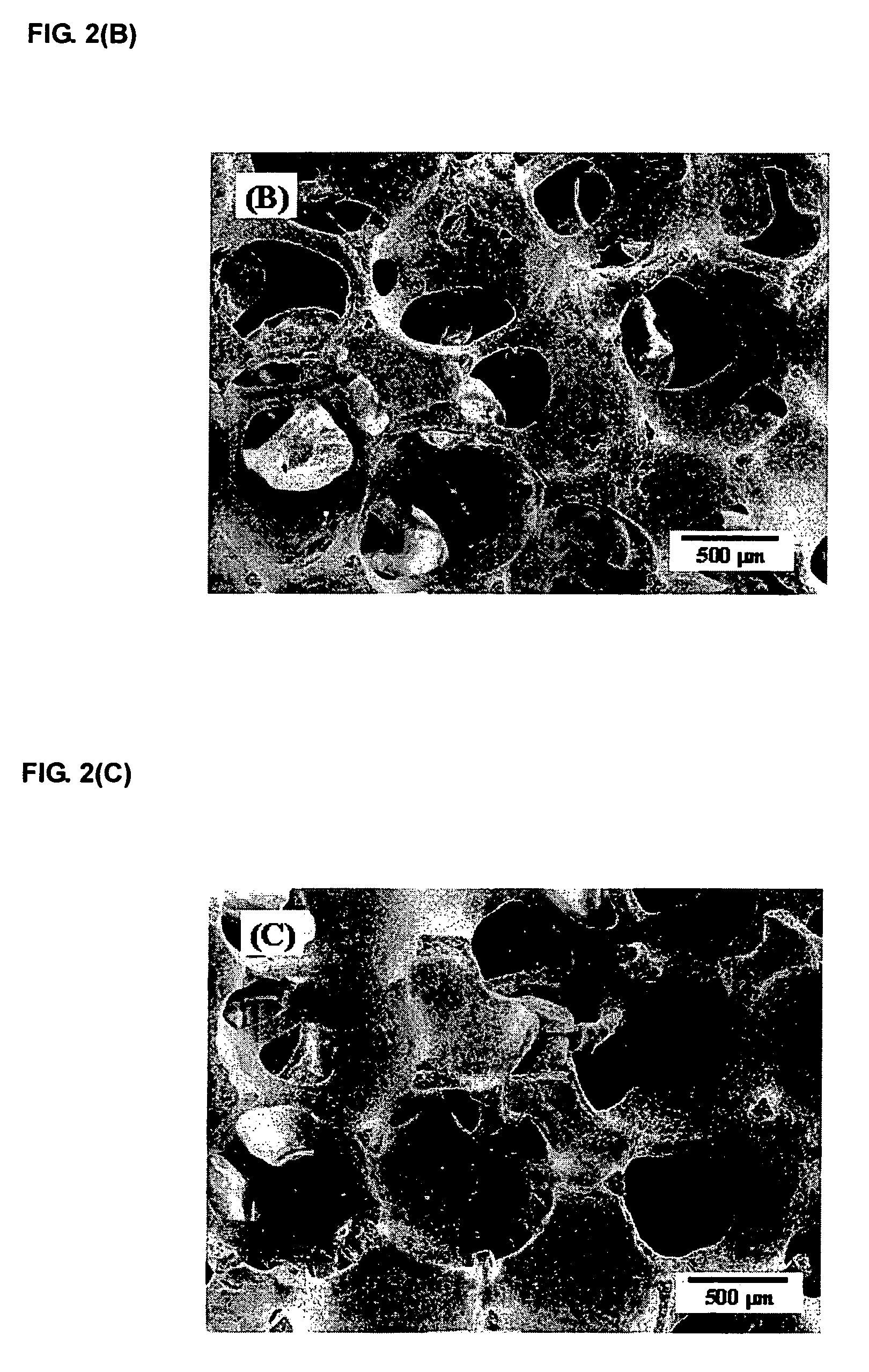 Porous bioceramics for bone scaffold and method for manufacturing the same