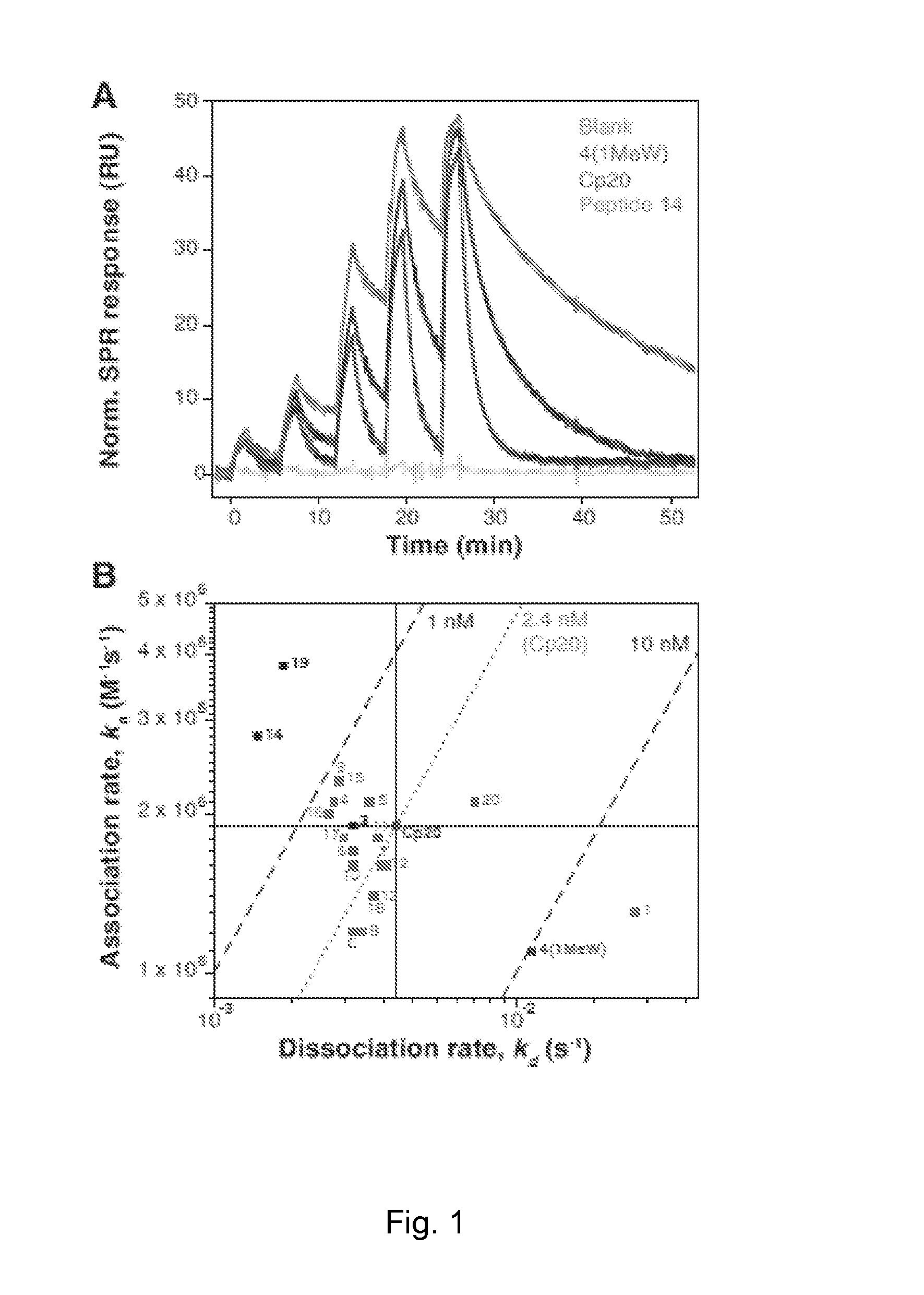 Compstatin Analogs with Improved Pharmacokinetic Properties