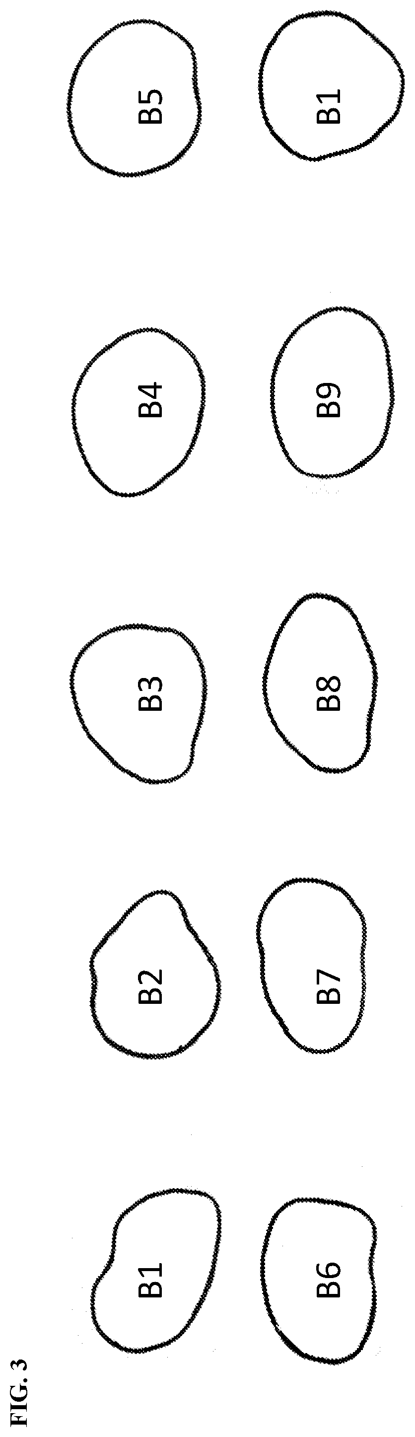 Process for preparing a coated hard shell capsule