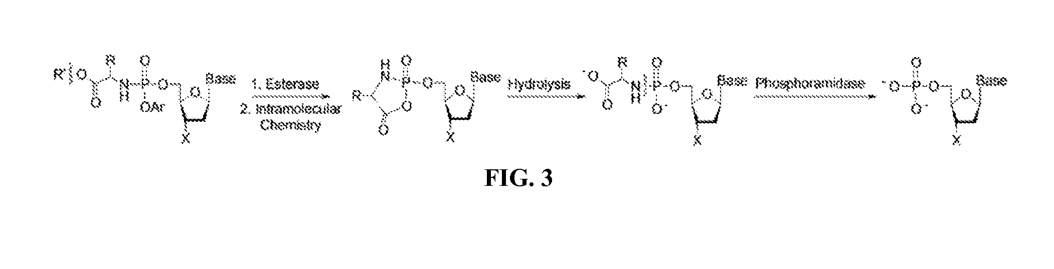 Nucleotide and nucleoside therapeutic compositions and uses related thereto