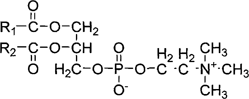 Docetaxel nano-particle composition