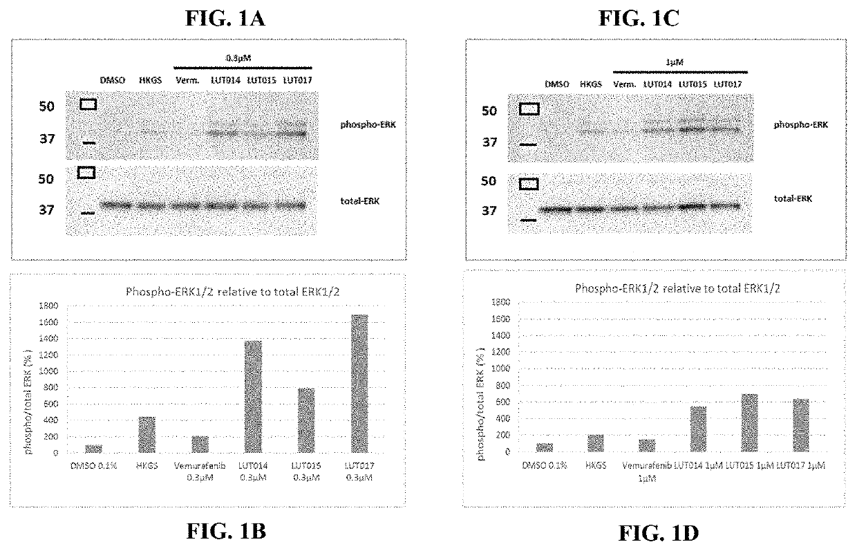 Novel braf inhibitors and use thereof for treatment of cutaneous reactions