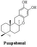 Synthetic method of marine natural product Puupehenol