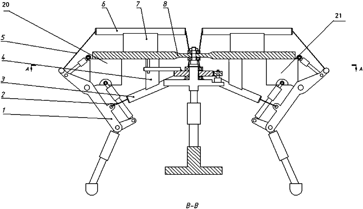 A flexible quadruped robot