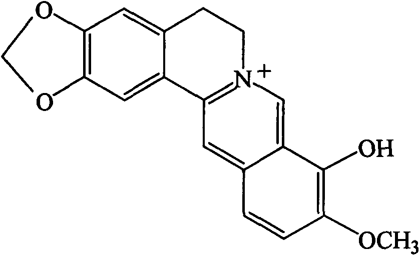 Application of 9-demethylberberine in preparation of hypolipidemic drug