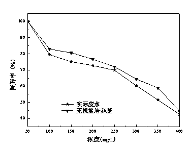 Method for lowering COD (Chemical Oxygen Demand) of oil refining wastewater by using dibutyl phthalate degrading strain