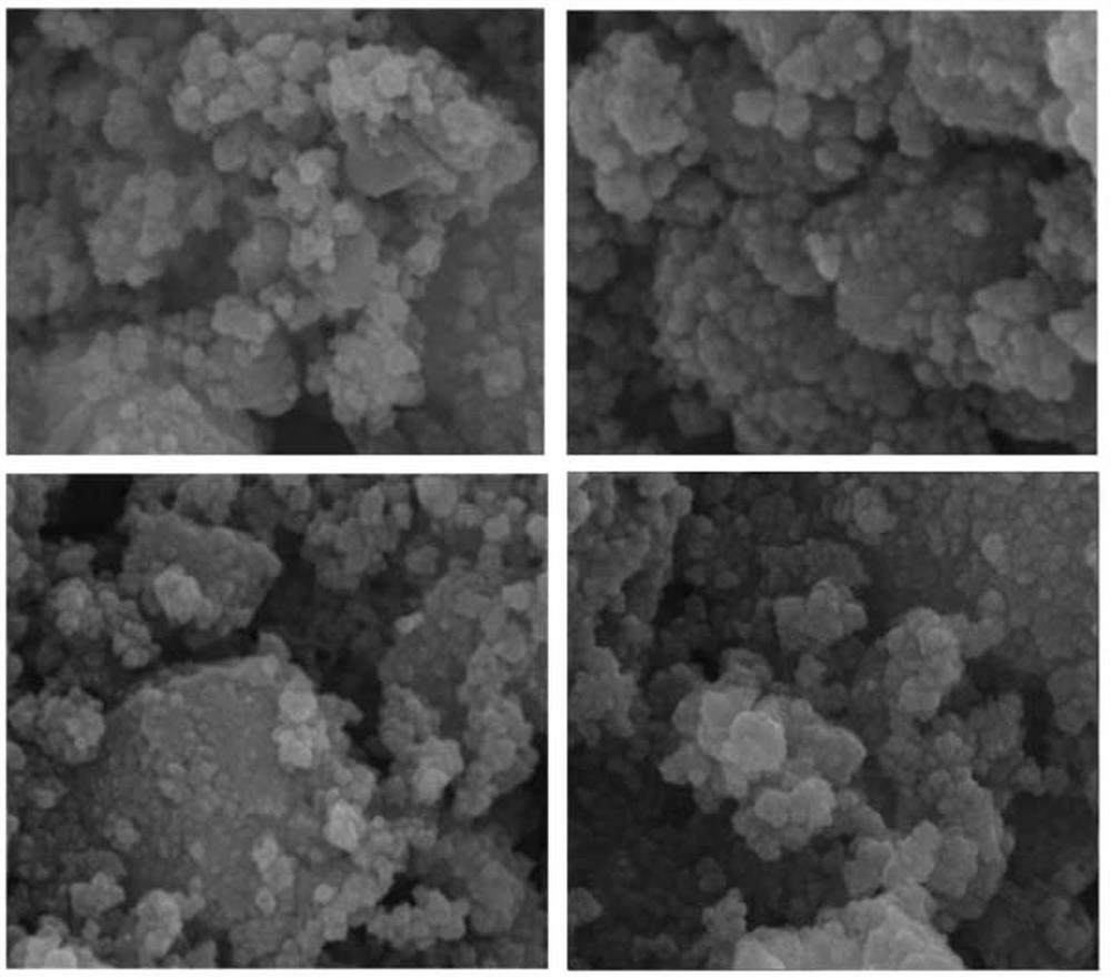 Preparation system and application of pesticide suspending agent for preventing and treating kaffir lily leaf spot