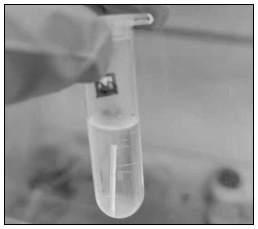 Method for cleaning away small-size pore powder of PEEK material 3D printing product