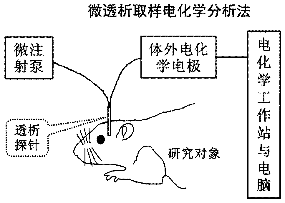 Electrochemical detection system