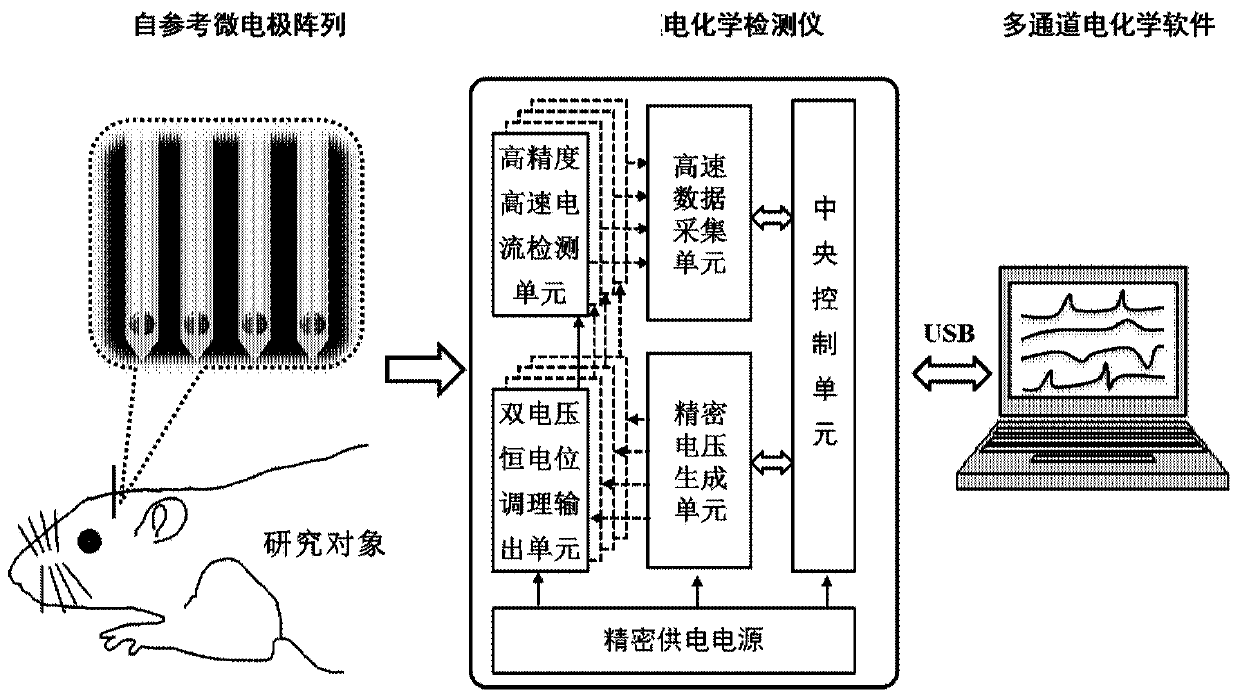 Electrochemical detection system