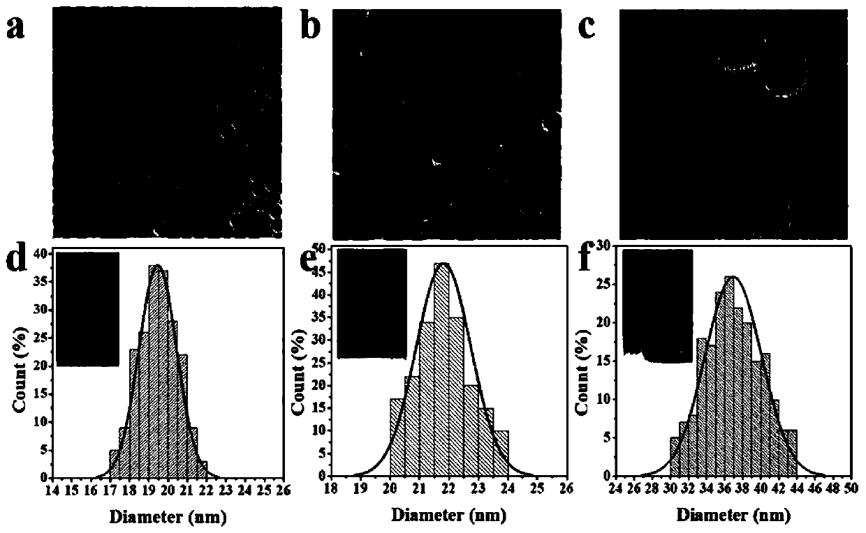 A kind of composite au nanoparticle and its preparation method and application