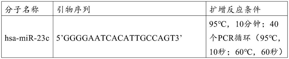 Hsa-miR-23c and application thereof as molecular marker for early diagnosis of radiation damage