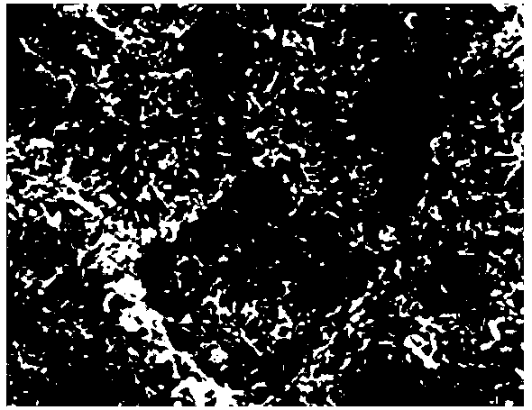 Low-weight superhydrophobic package paper and preparation method thereof