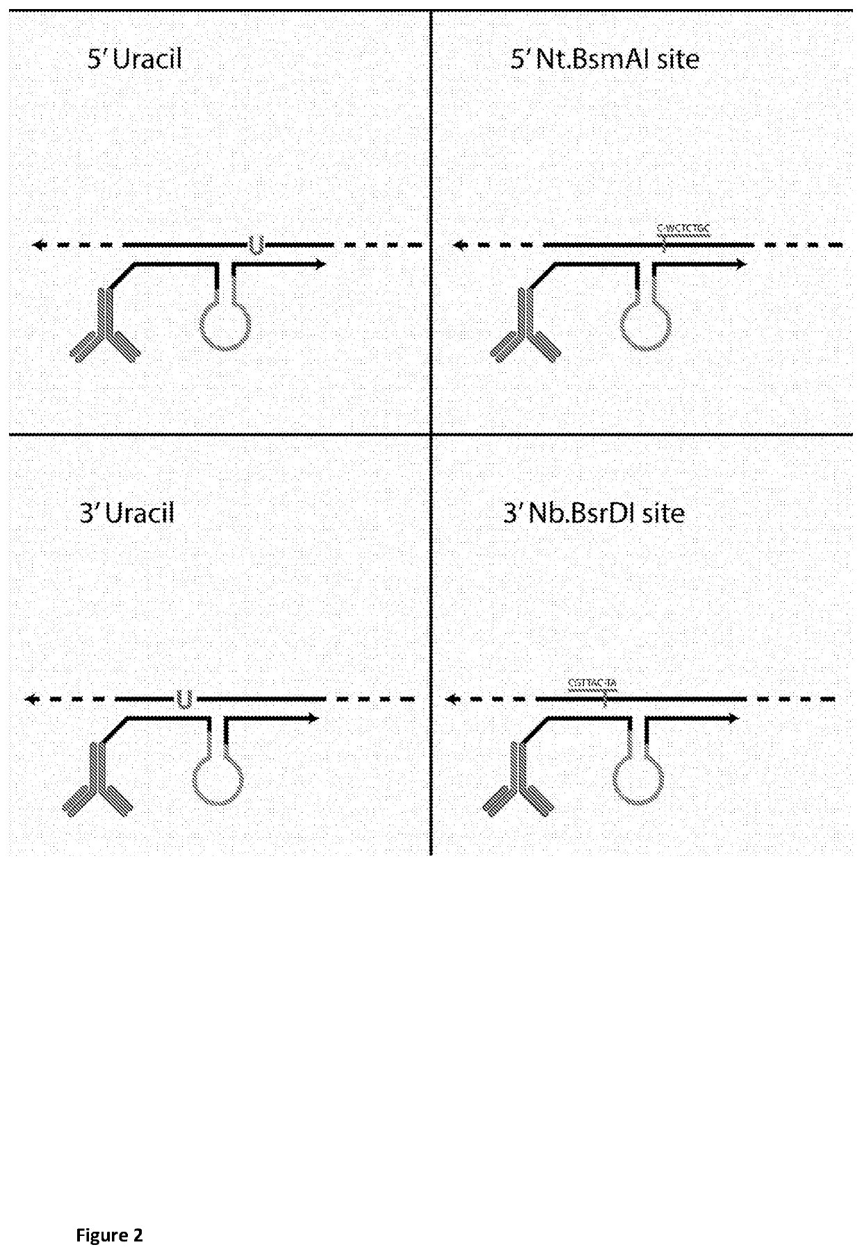 Method for determining levels of interactions between biomolecules