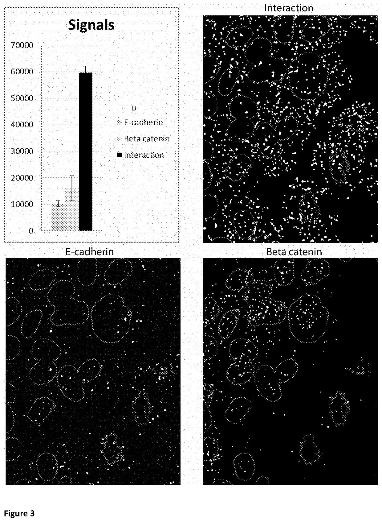 Method for determining levels of interactions between biomolecules