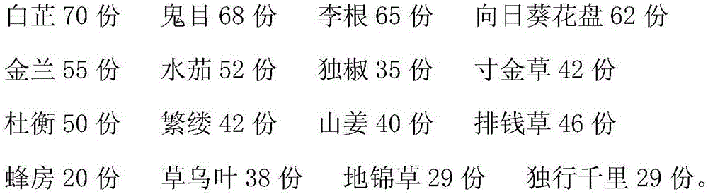 Traditional Chinese medicine preparation for nursing patient suffering from toothache and preparation method