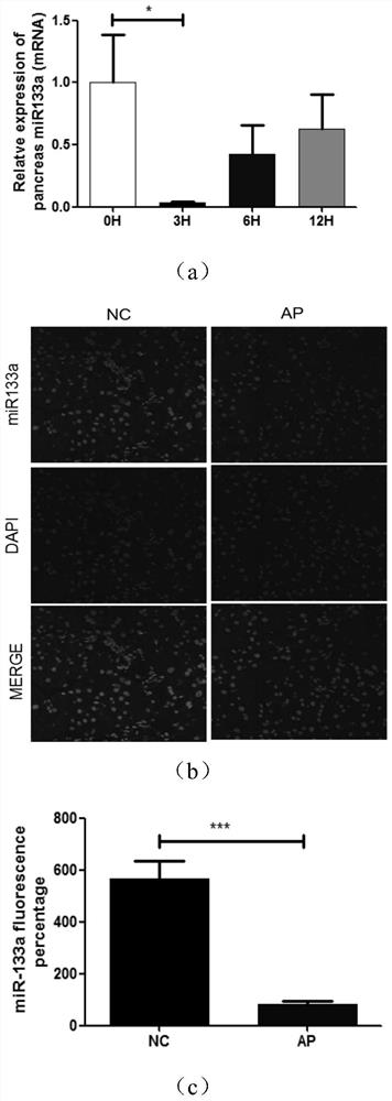 MiRNA for preventing and/or treating acute pancreatitis, and pharmaceutical application of MiRNA