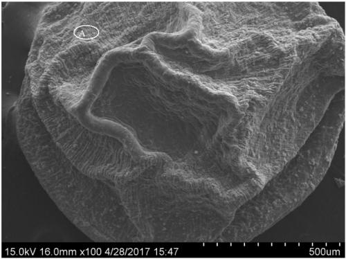 Preparation method of granular drinking water arsenic-removing adsorption material