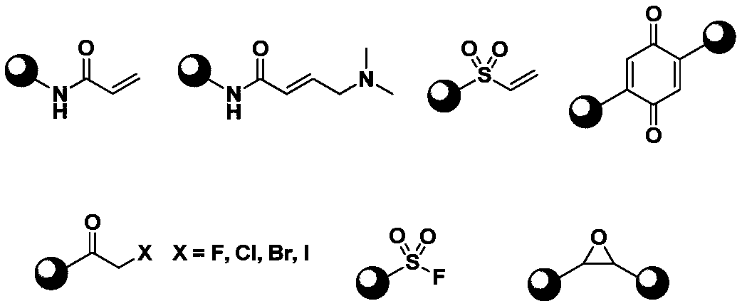 Application of compound containing allenamide group in preparation of protein inhibitors, protein cross-linkers or protein markers