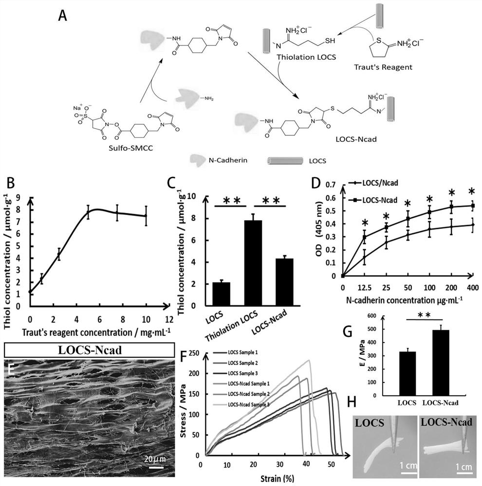 A tissue engineering material for nerve injury repair and its preparation method and application