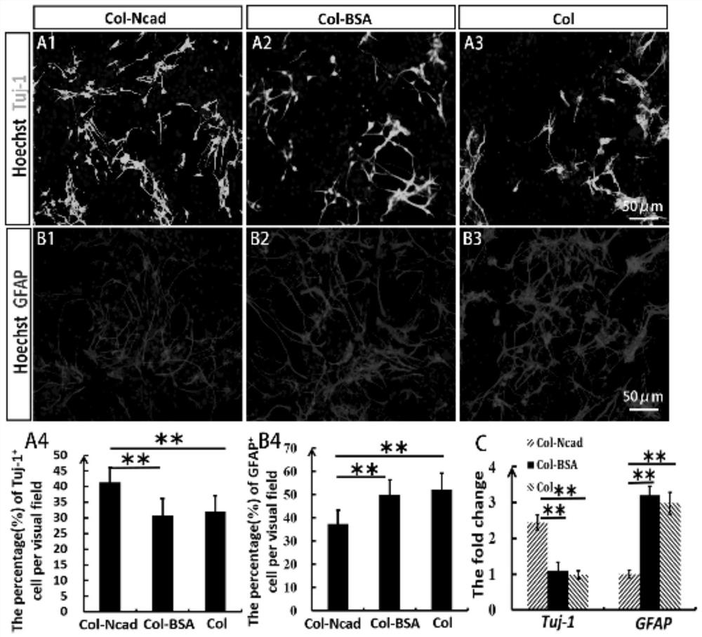 A tissue engineering material for nerve injury repair and its preparation method and application