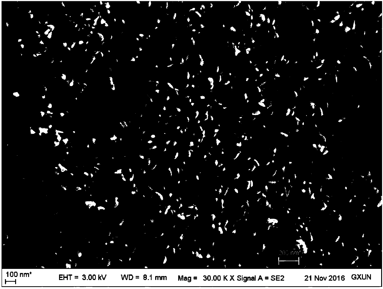 Sn/Sb-GAC (granular activated carbon) particle and application thereof to treating 4-chlorophenol waste water through three-dimensional electrochemical reaction