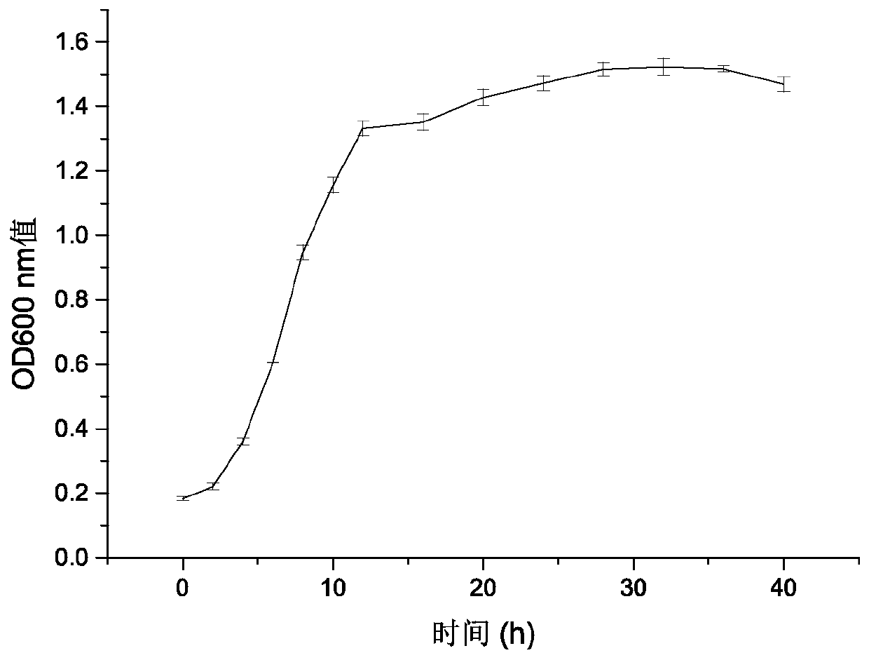 Lactococcus lactis subsp.hordniae having high antioxidant activity and application thereof