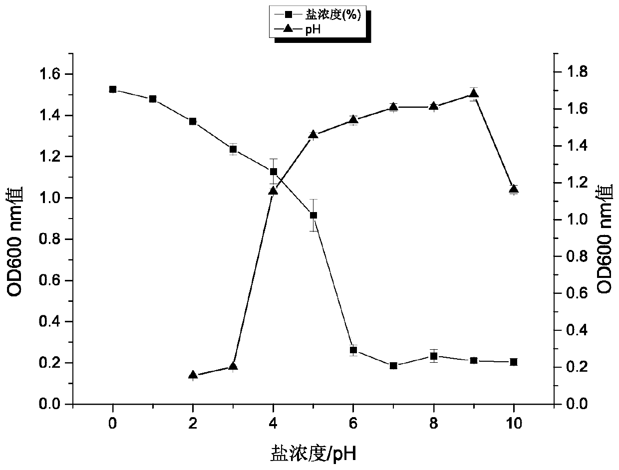 Lactococcus lactis subsp.hordniae having high antioxidant activity and application thereof