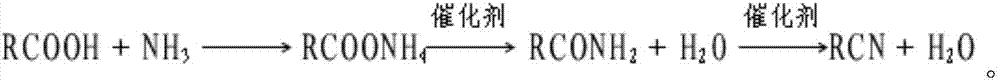 Process for synthesizing high-purity lauronitrile through pressurized catalysis