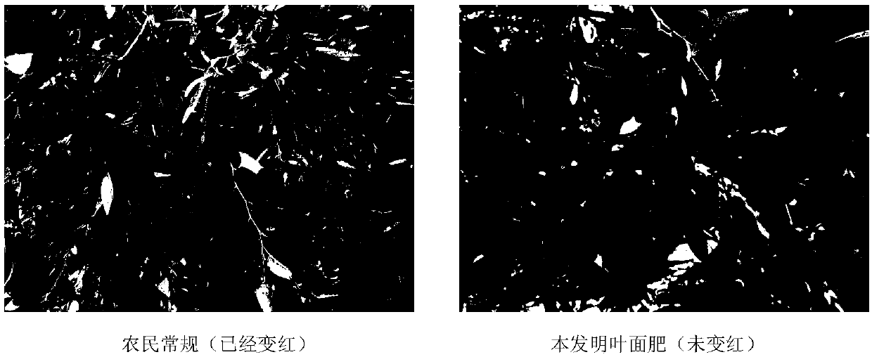 Special anti-cracking foliar fertilizer for jujube tree, and preparation method and application thereof
