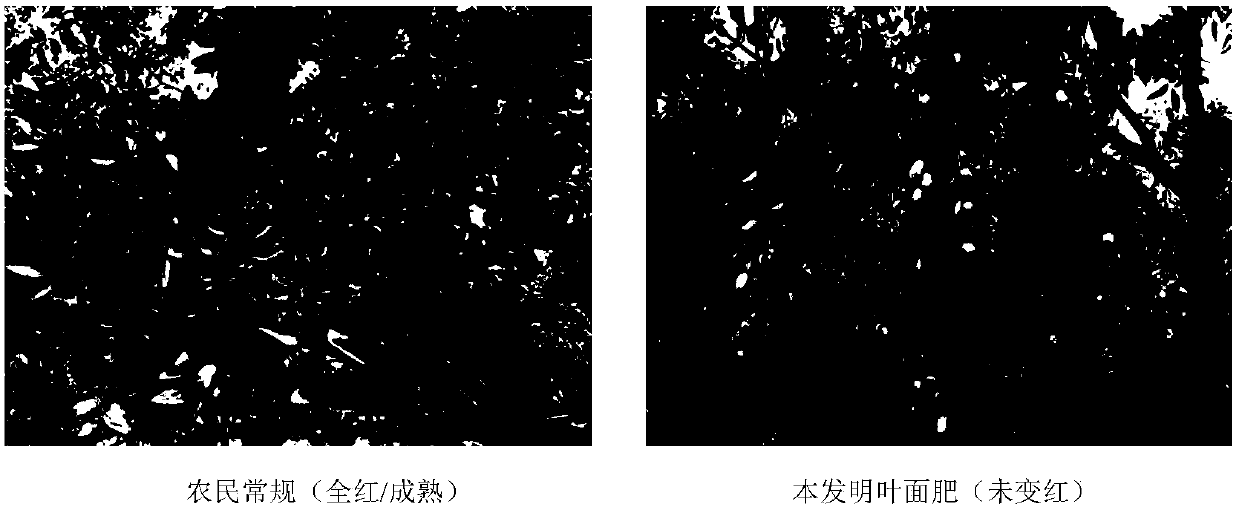 Special anti-cracking foliar fertilizer for jujube tree, and preparation method and application thereof