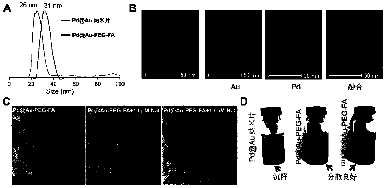 Two-dimensional palladium-based probe with radioiodine labeling and preparation method and application of probe