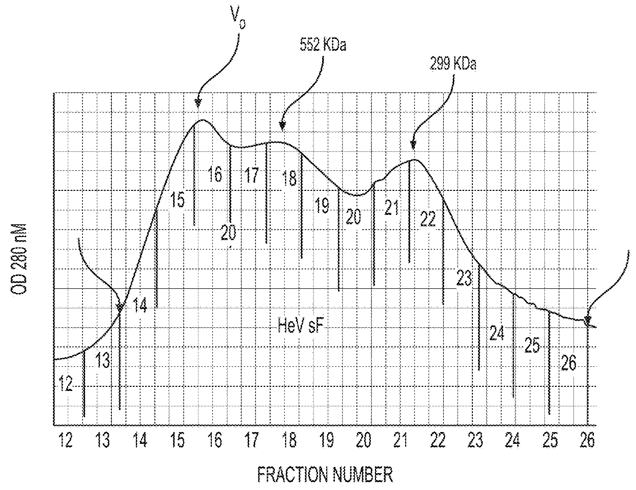 Soluble forms of Hendra and Nipah virus F glycoprotein and uses thereof