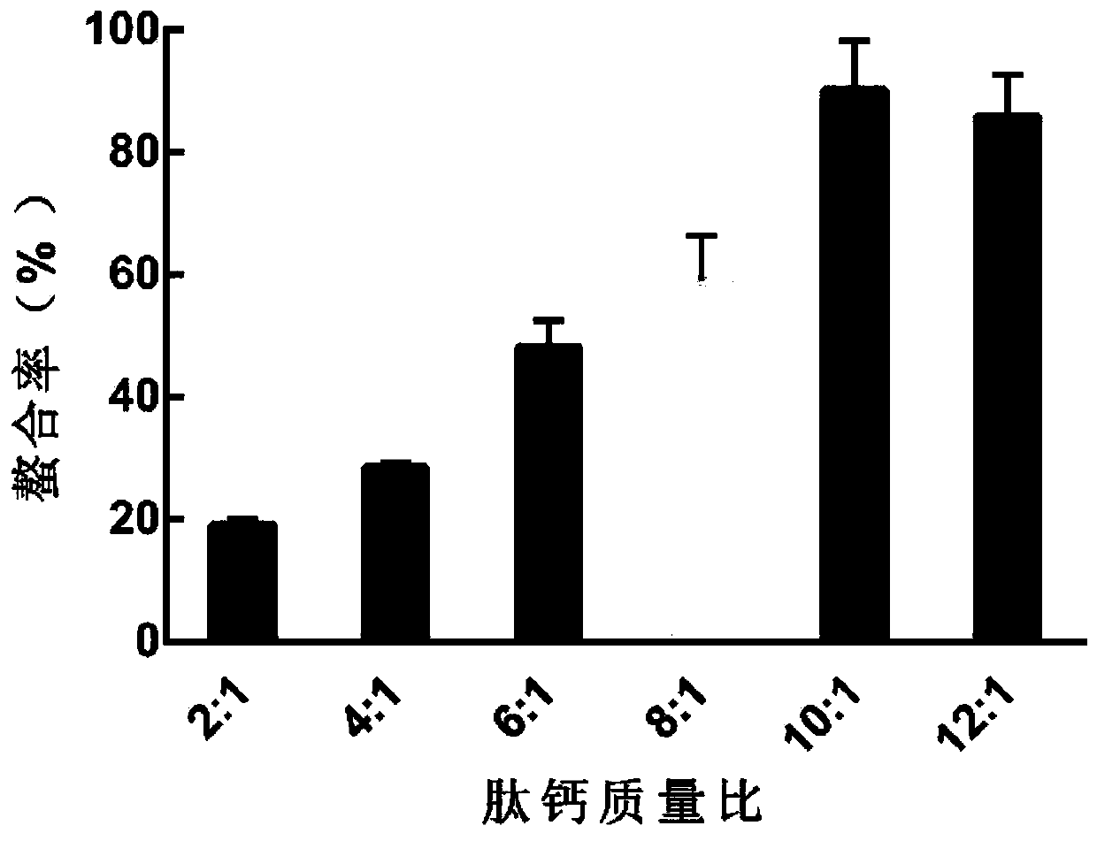 Crocodile peptide chelated calcium as well as preparation method and application thereof