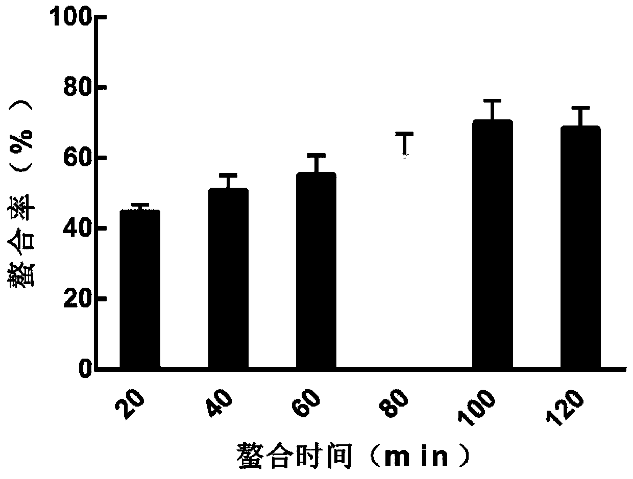 Crocodile peptide chelated calcium as well as preparation method and application thereof