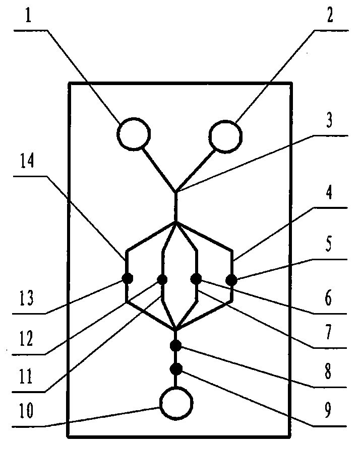 Syphilis diagnosis apparatus used for sample driving and capable of rapidly removing attached member