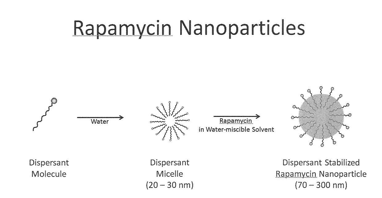 Oral rapamycin nanoparticle preparations