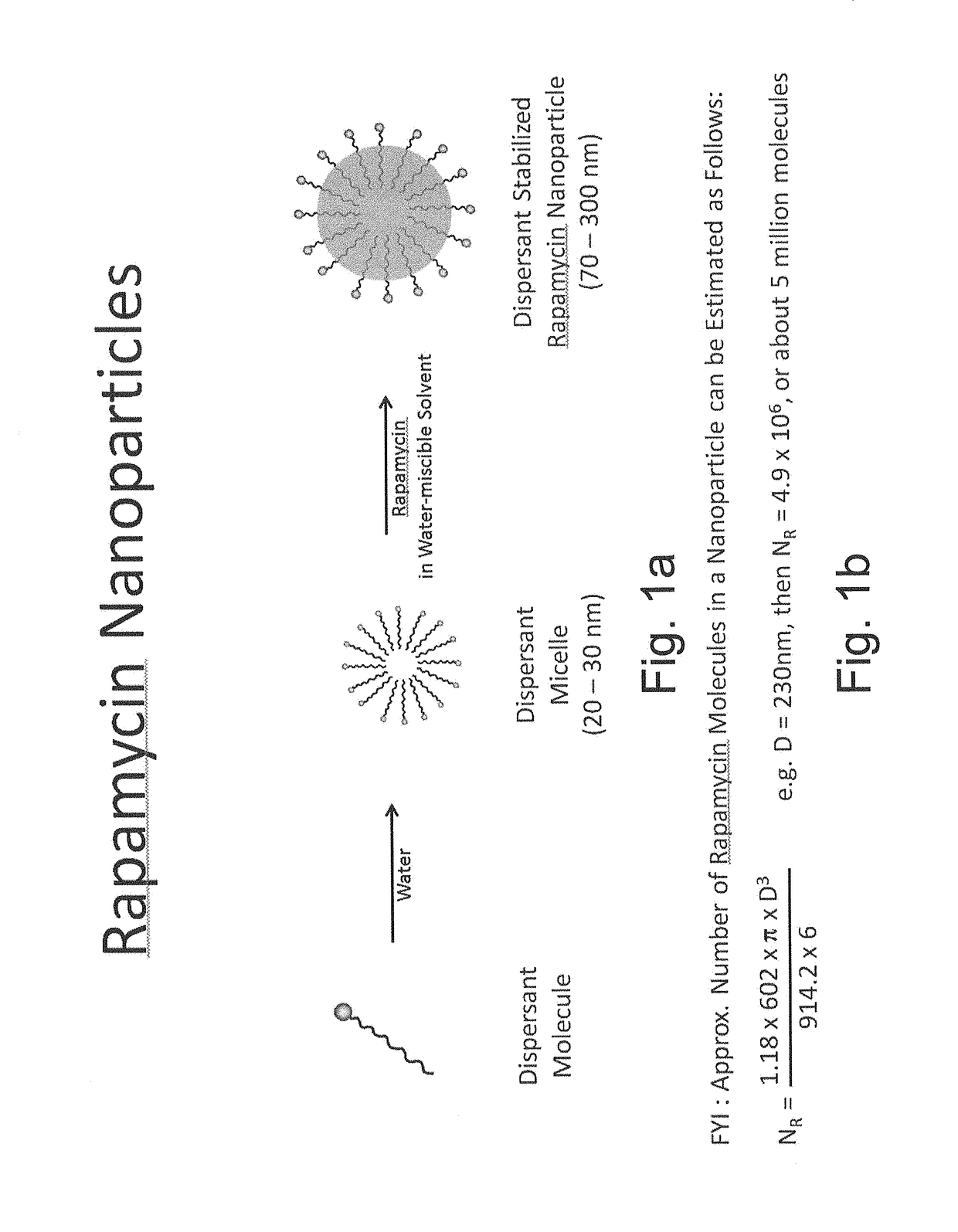 Oral rapamycin nanoparticle preparations