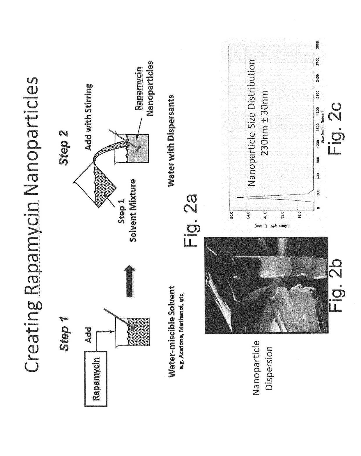 Oral rapamycin nanoparticle preparations