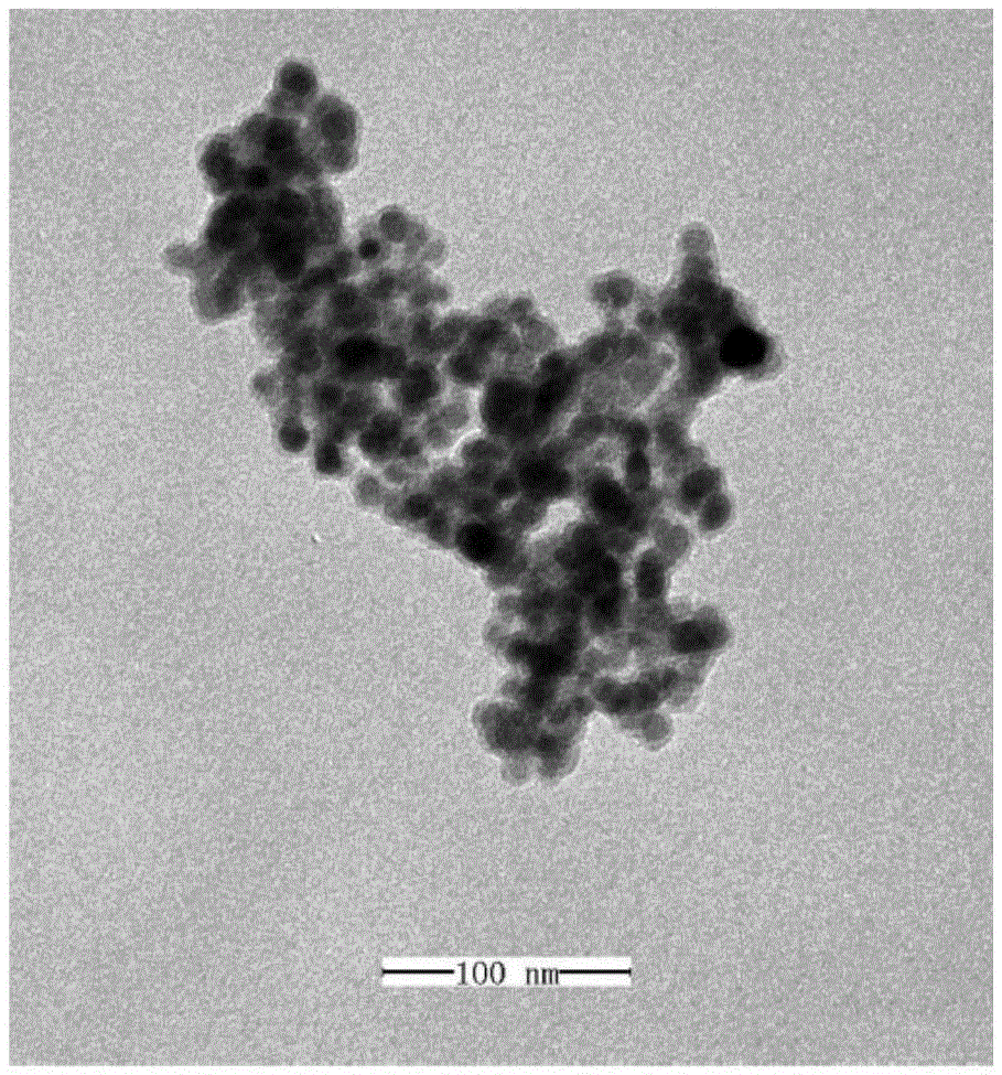 Magnetic nano-particle adsorbent and preparation method and application thereof