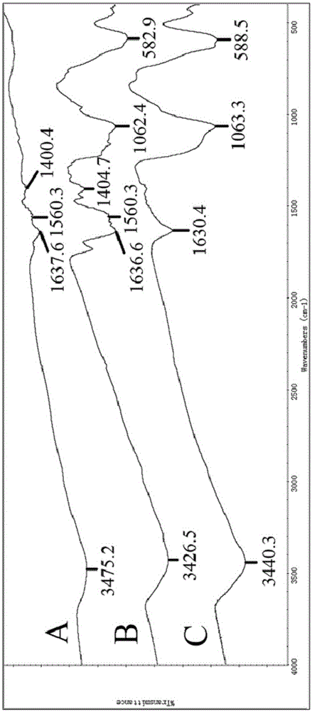 Magnetic nano-particle adsorbent and preparation method and application thereof