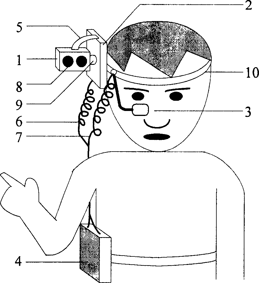 Head carried stereo vision hand gesture identifying device