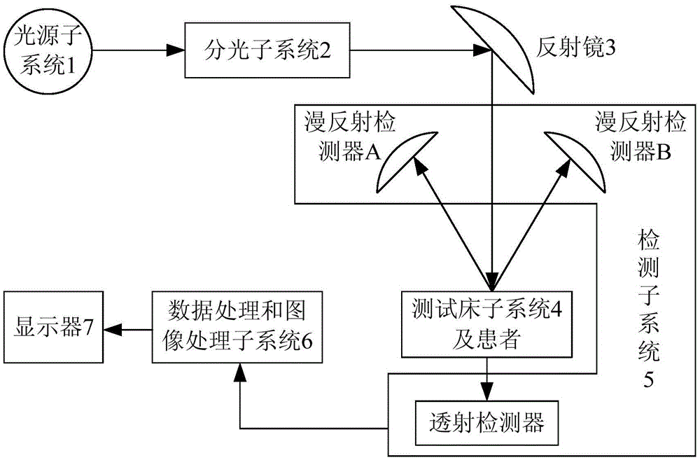 Neuron activity detection system and detection method at spinal cord injury site