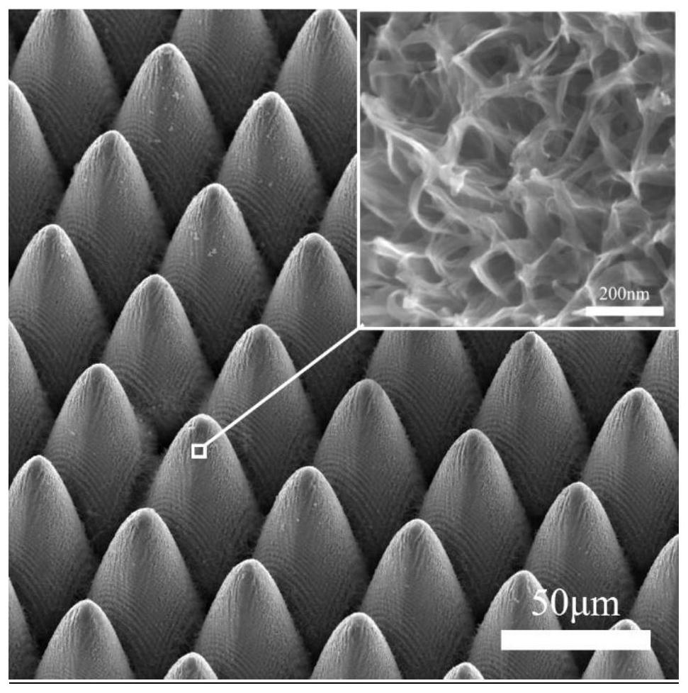 A superamphiphobic metal surface with three-dimensional distribution of nanostructures and its preparation method